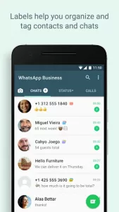 Whatsapp Business Mod Apk v2.23.2.4 (GB, YO, FM, SAM) 2
